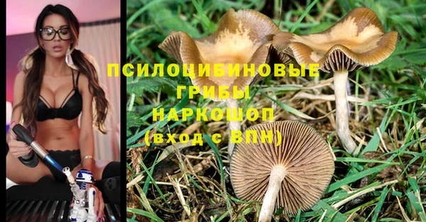 ALPHA-PVP Мегион