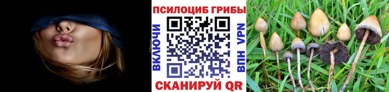 Псилоцибиновые грибы мицелий  Всеволожск 