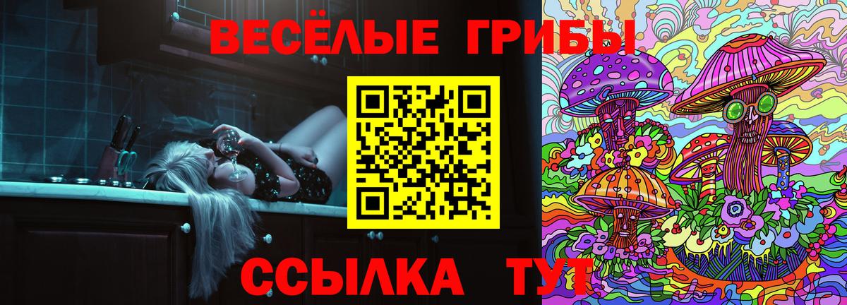 Галлюциногенные грибы Psilocybine cubensis Всеволожск