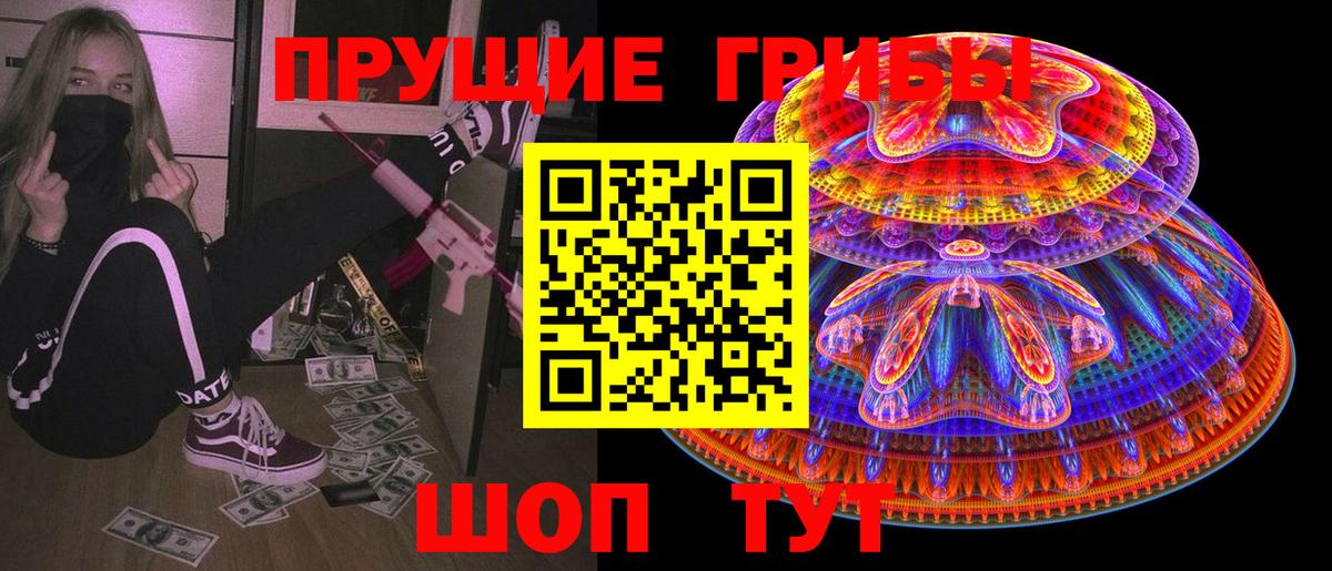 Псилоцибиновые грибы Psilocybine cubensis  Всеволожск 