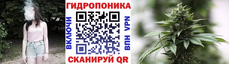 площадка какой сайт Всеволожск Бошки марихуана план