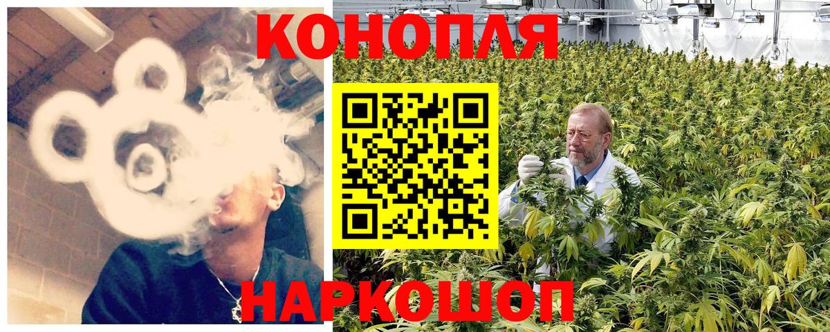 Бошки марихуана тримм Всеволожск